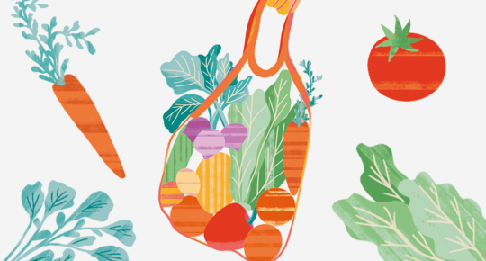 Ilustração mostra uma sacola com vegetais e folhas.