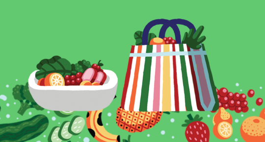 Ilustração mostra uma bolsa de feira colorida ao lado de um prato branco cheio de vegetais, frutas e legumes. O fundo é verde.