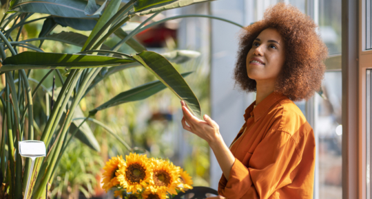 Mulher jovem sorridente em plano médio segurando um grande buquê de girassóis amarelos, em um campo ao ar livre, com luz natural suave destacando as flores vibrantes e criando um clima alegre e acolhedor.